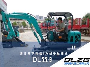 DL22-9先導(dǎo)型小型挖掘機(jī)