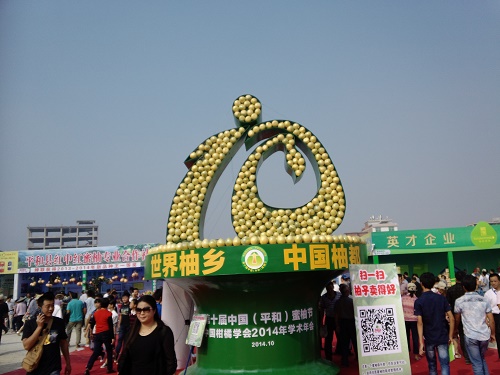 德力挖掘機(jī) 參展平和蜜柚節(jié)